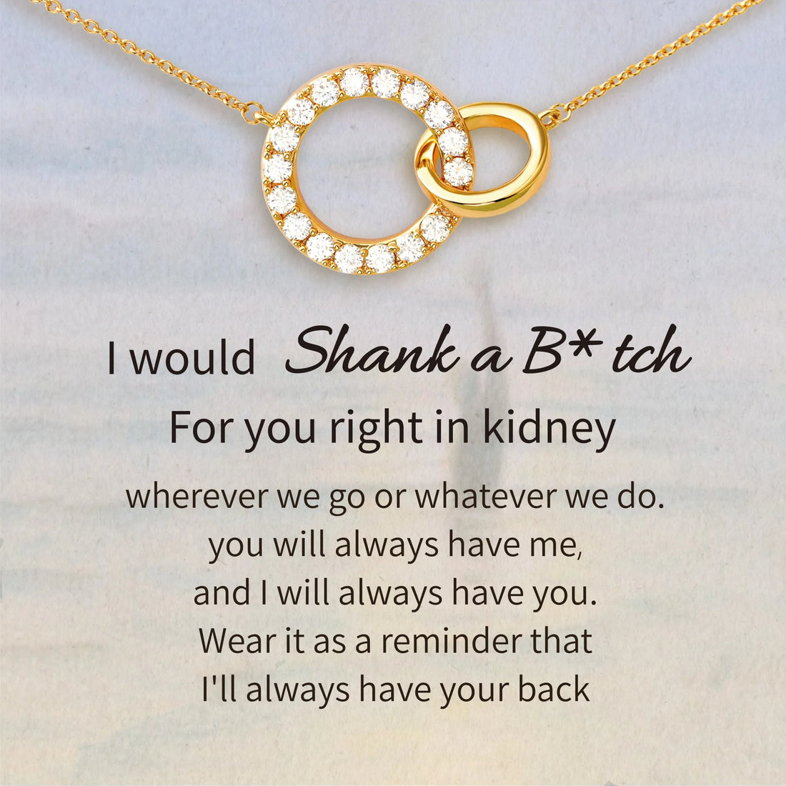 Shank A Bitch Friendship Necklace